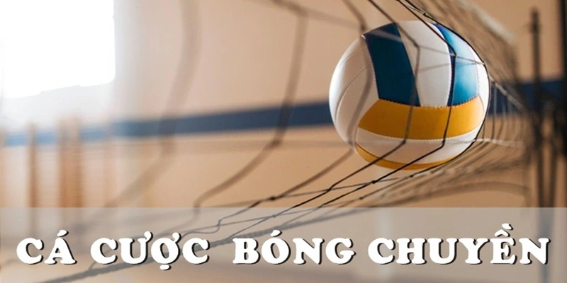 Cá cược bóng chuyền Kubet