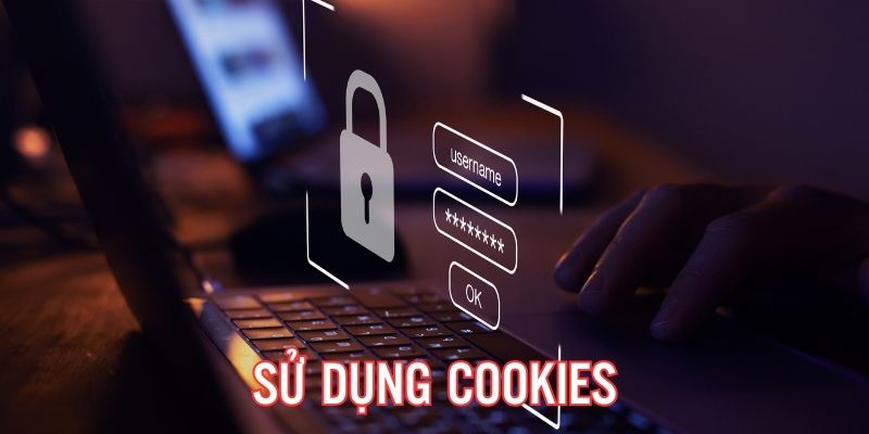 Quy định sử dụng cookies tại website chi tiết, đầy đủ